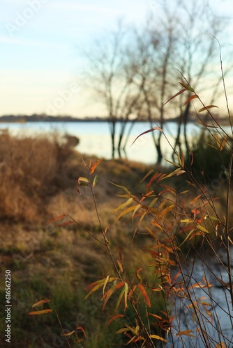 Texas Autumn