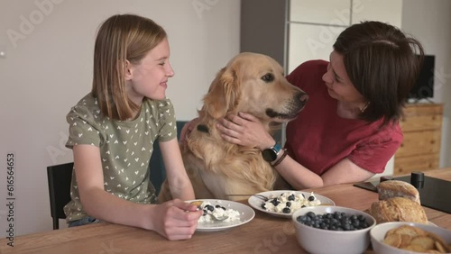 Mother and daughter with golden retriever dog with cottage chease breakfast feeding pet and smiling, Young woman and preteen girl family with purebred doggy eat cream milk desert photo