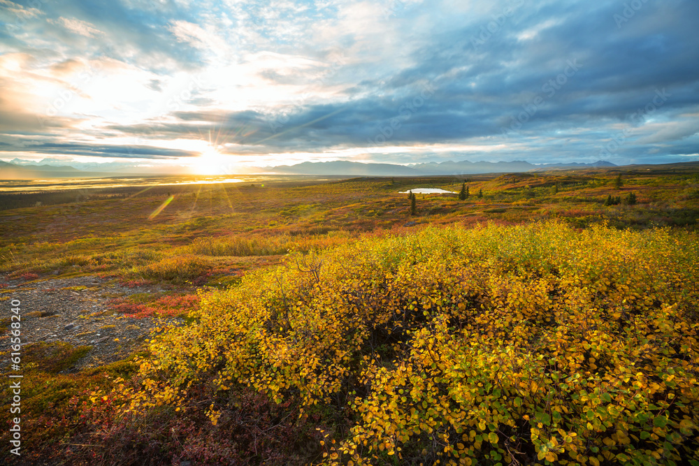 Obraz premium Autumn in polar tundra