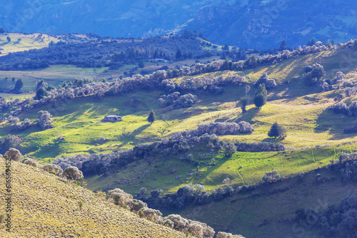 Green hills in Colombia © Galyna Andrushko