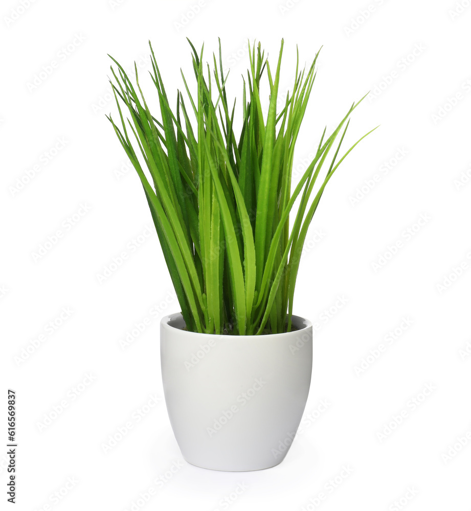 Beautiful artificial plant in flower pot isolated on white Beautiful artificial plant in flower pot isolated on white