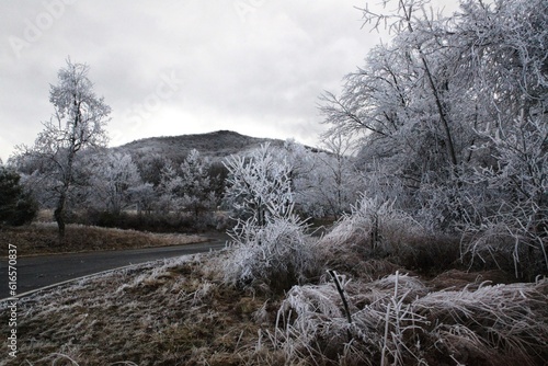 Snowy Road
