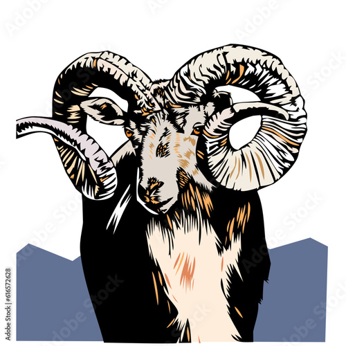 big horn sheep vector illustration