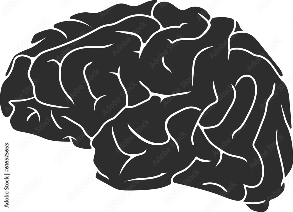 Obraz premium human brain