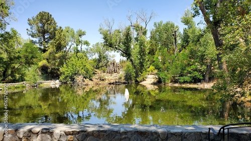 Serene Forest's Emerald Pool