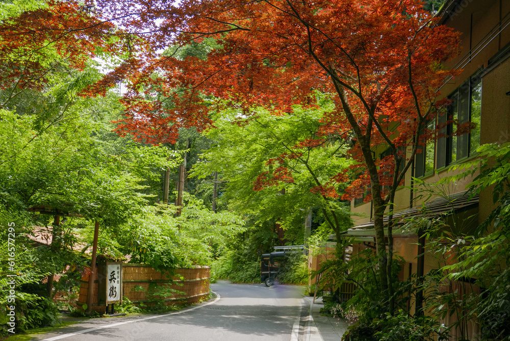 An elegant and quiet alley in Kifune-jinja. Kyoto should be a very suitable place for slow travel experience. Japan