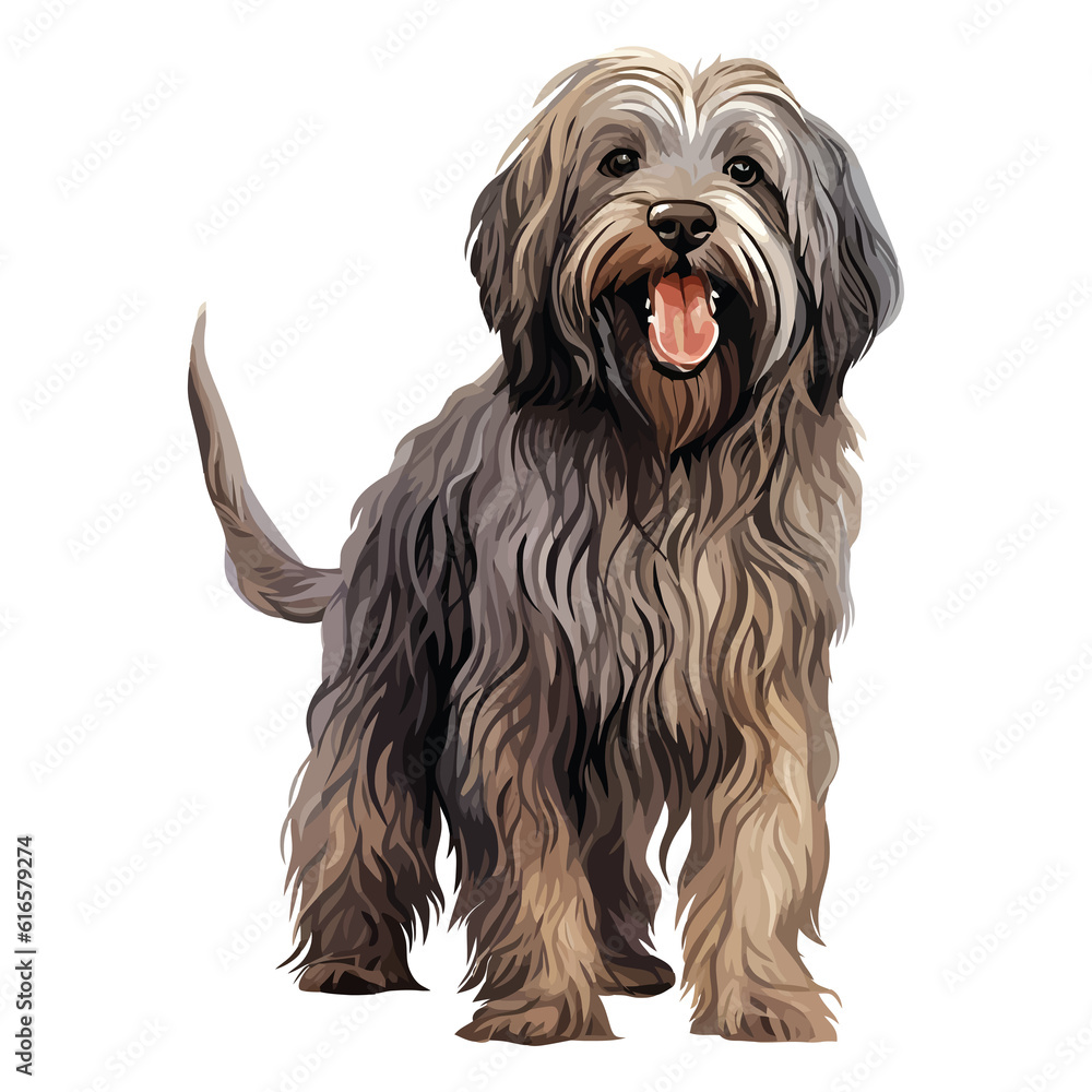 Energetic and Loyal: Delightful 2D Illustration of a Cute Bergamasco