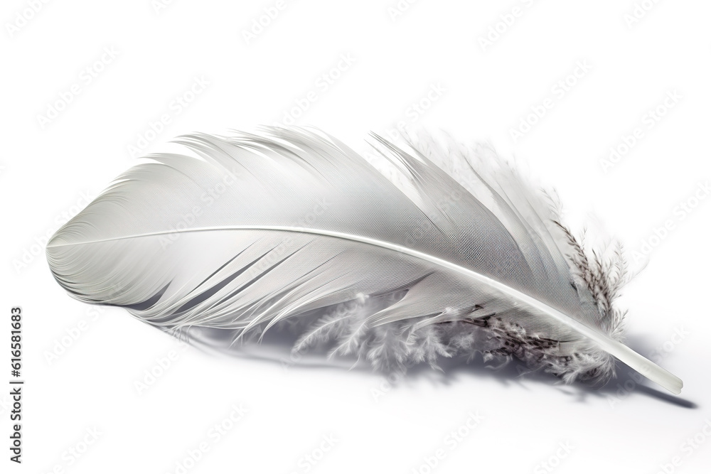 Image of chicken feather on white background. Farm animals. Illustration. Generative AI.