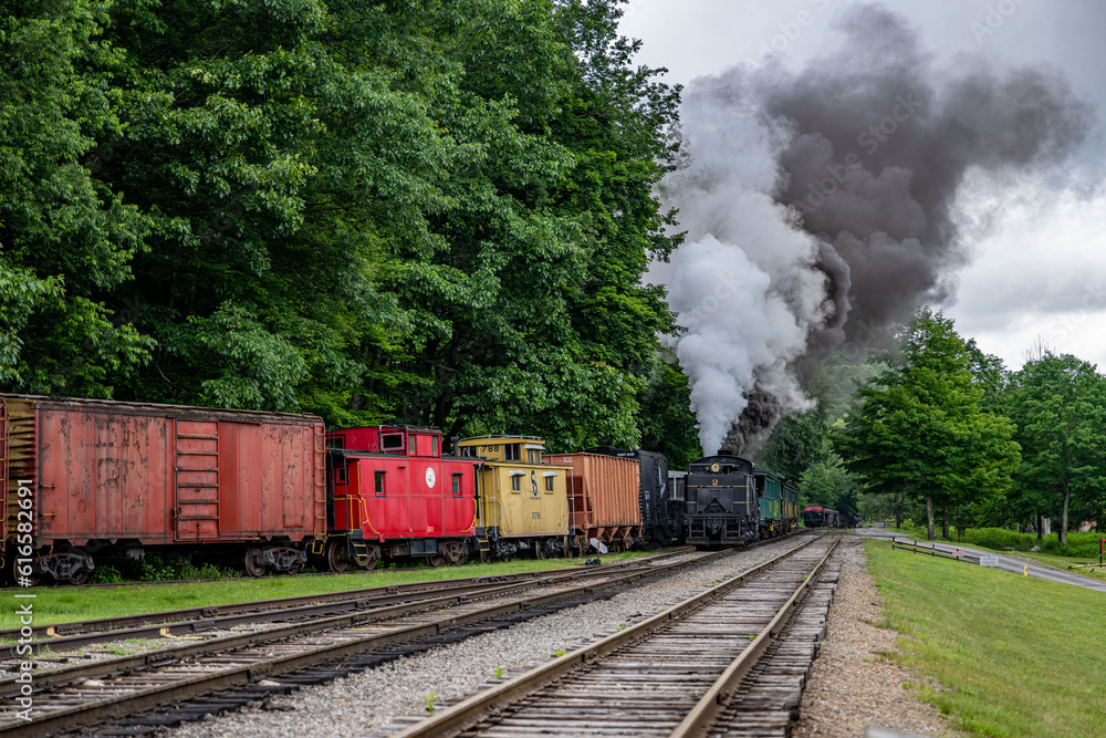 Obraz premium steam locomotive
