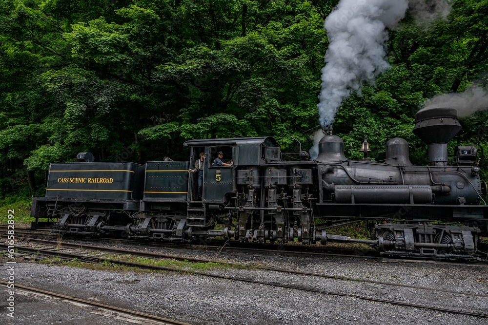 Naklejka premium cass wv