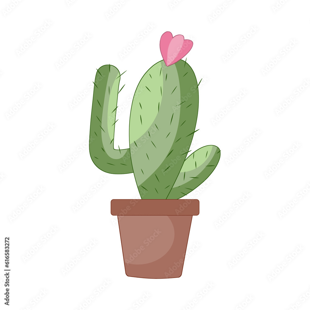 Cactus Illustration Cactus Illustration