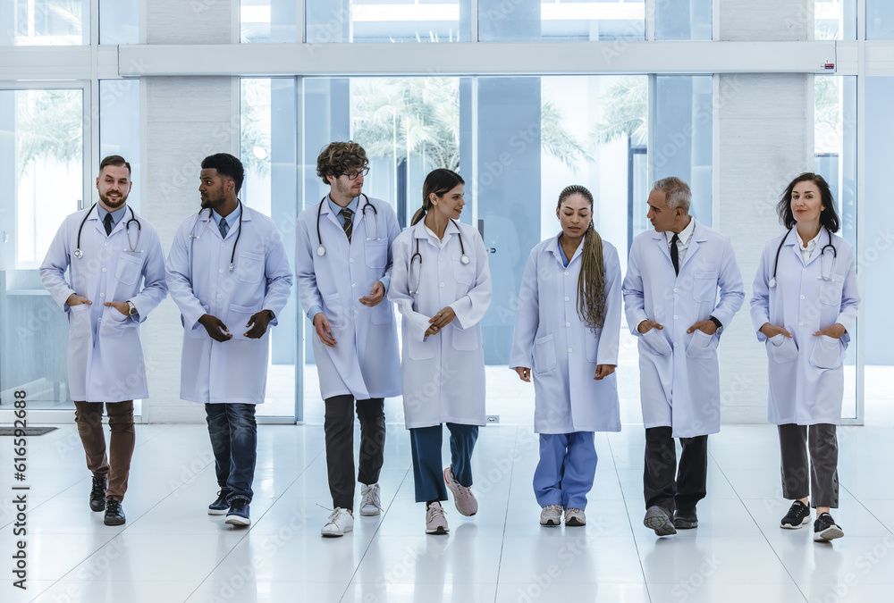 Group of experienced doctors from different of filed working together as primary healthcare team to give medical diagnosis, treatment to patients. Developing positive relationships with colleagues. Group of experienced doctors from different of filed working together as primary healthcare team to give medical diagnosis, treatment to patients. Developing positive relationships with colleagues.