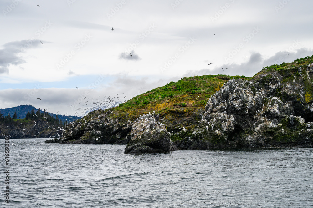 Scenic view of Gull Island from boat in Katchemak Bay, AK
