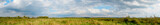 Summer panorama of a wild village meadow
