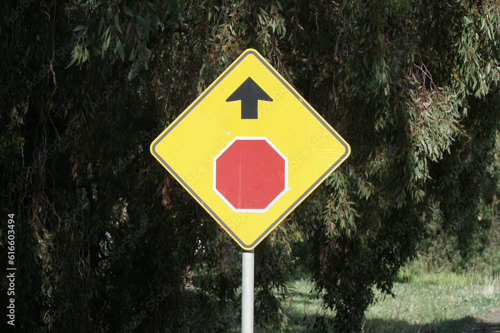 A Red on Yellow Stop Road Sign with Black Arrow pointing straighter ahead