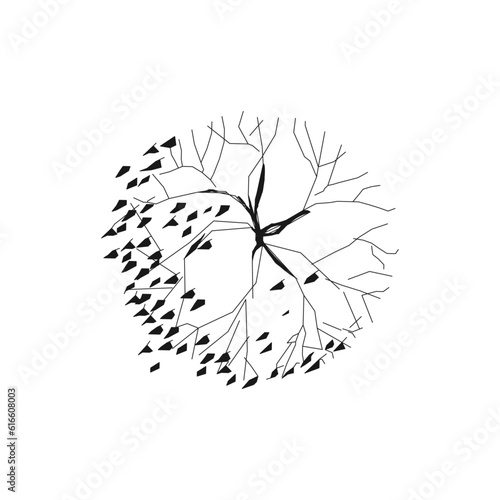 Deciduous tree, top view on a white background. Badge. Detailed sketch of wood and foliage for professional design