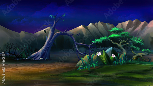 Plants in Africa at the foot of the mountains at night