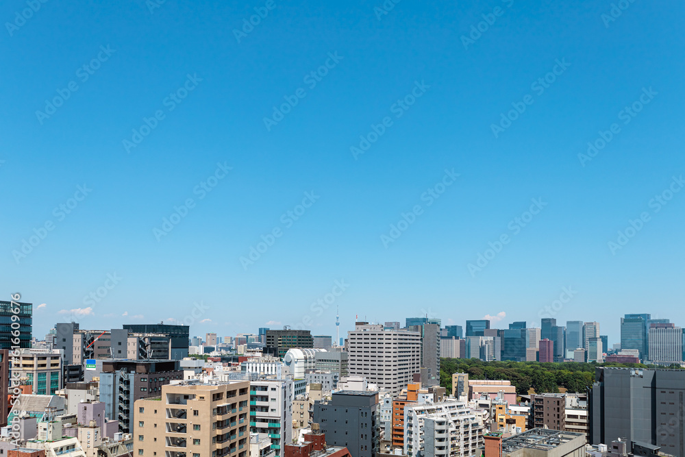 夕暮れの東京スカイツリーと都心の風景