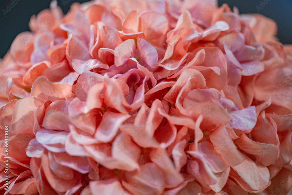 artificial hydrangea flower closeup