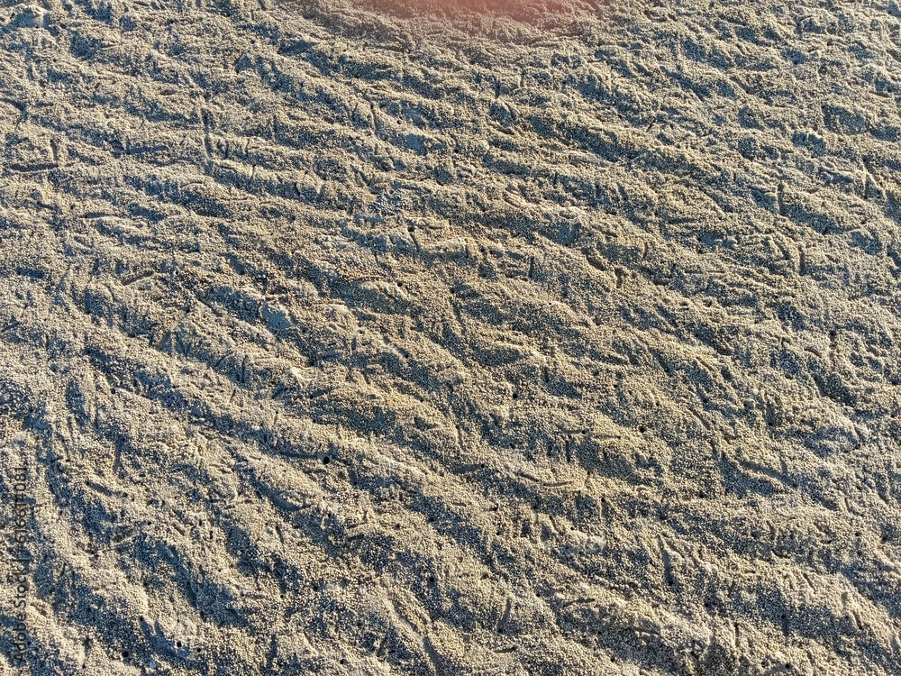 sand texture sand texture
