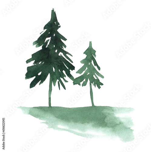 Two loose watercolor fir tree in dark green colors.Aquarelle spruce design element.Concept of eco friendly environment  planet save