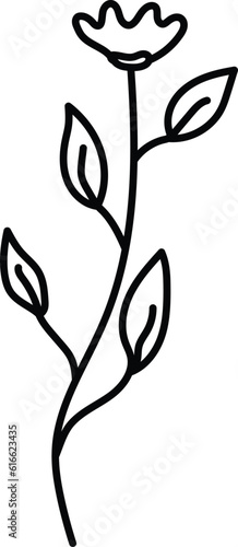flower drawing
