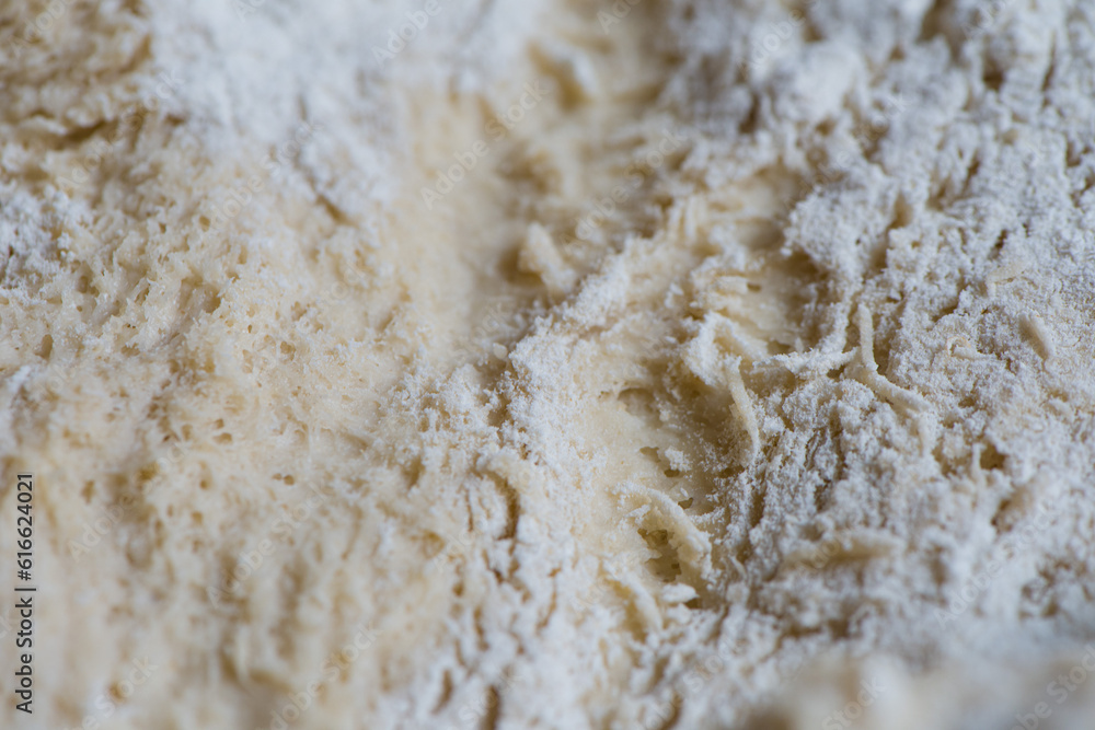 Dough made from natural sourdough. Gluten structure texture close up. Baking at home bread making. Dough made from natural sourdough. Gluten structure texture close up. Baking at home bread making.