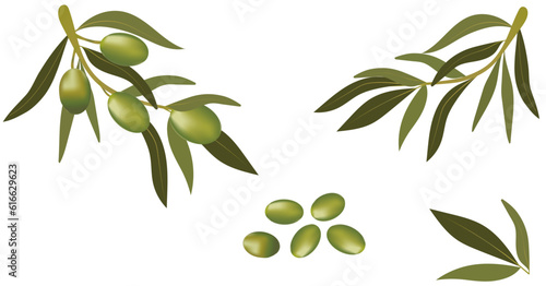 Background with olive branch and green olives. Vegetarian food and healthy lifestyle