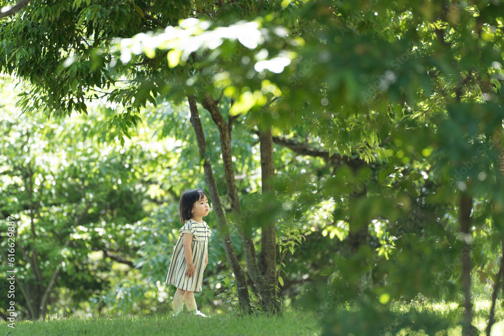 女の子 ポートレート 女の子 ポートレート