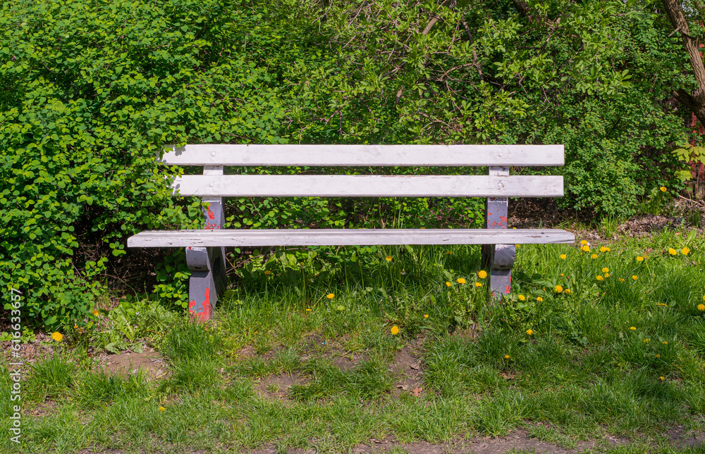 Old Wooden Bench in Park, Outdoor City Architecture, White Wooden Benches, Outdoor Chair Old Wooden Bench in Park, Outdoor City Architecture, White Wooden Benches, Outdoor Chair