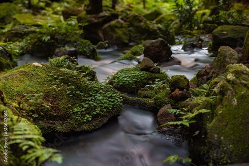 澄んだ空気と澄んだ水2