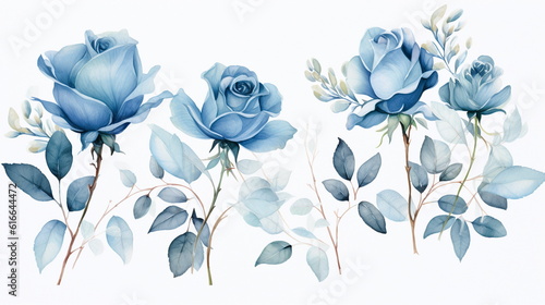 set watercolor elements of Light Blue roses collection garden flowers; leaves; branches. Botanic; illustration, eucalyptus Wedding floral design, white background
