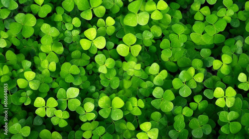 Die Suche nach Glück: Vierblättrige Kleeblätter im Grünen