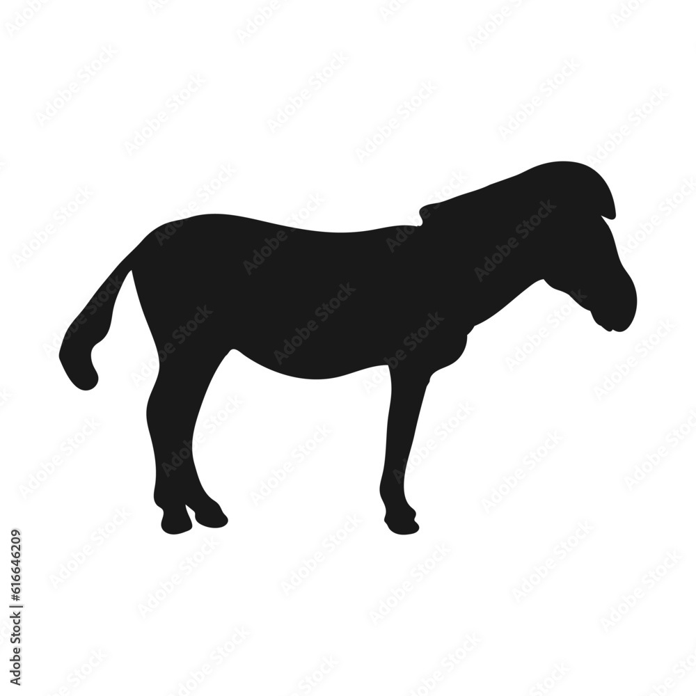 Zebra. Isolated icon on a white background Zebra. Isolated icon on a white background
