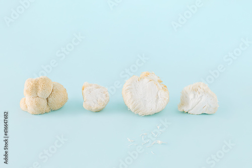 Minimal scene with medicinal, edible mushroom Hericium erinaceus or lion's mane on isolated pastel blue background. Concept of healthy eating. The idea of raw food.