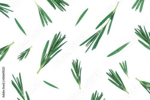 Rosemary leaves collection on white background. Flat lay.
