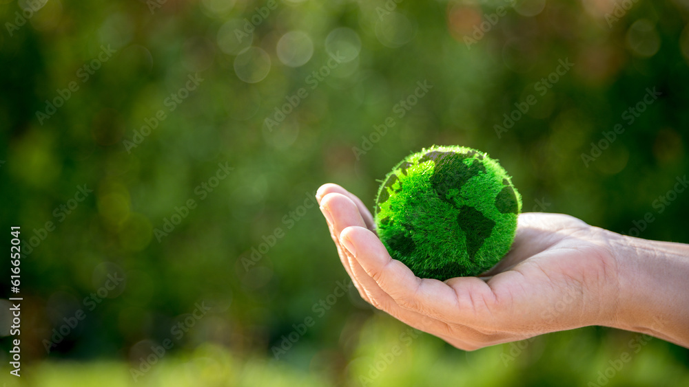 The small globe, earth is on hand, grass, leaf. The globe has maps on it and environmental map. The earth map shown geography continents, countries. The globe ball is the symbol of our planet earth. The small globe, earth is on hand, grass, leaf. The globe has maps on it and environmental map. The earth map shown geography continents, countries. The globe ball is the symbol of our planet earth.