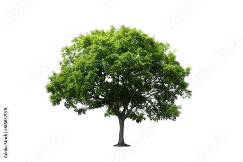 Green Tree Isolated on Transparent Background. AI