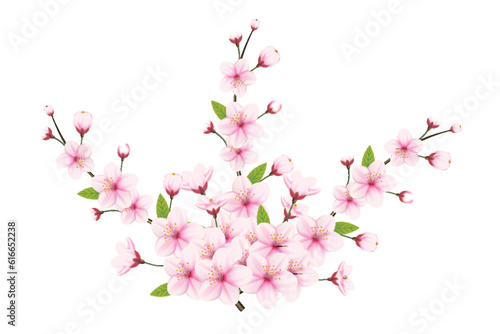 Cherry blossom branch with sakura flower. Falling petals  flowers. Isolated flying realistic Japanese pink cherry or apricot floral elements  background. Cherry blossom branch  flower petal illustrati