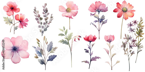 Pink flowers watercolor elements set.