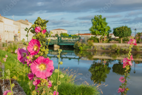 Saujon - Pays de la Loire - France 