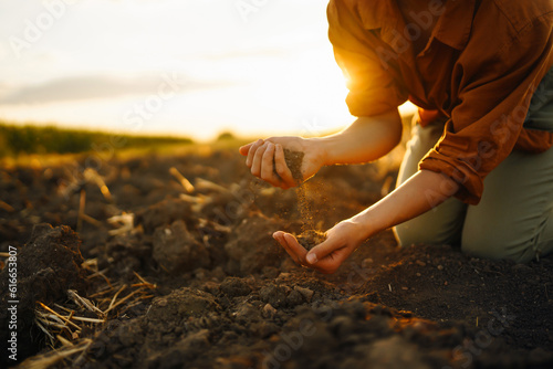  Expert hand of farmer checking soil health before growth a seed of vegetable or plant seedling. Business or ecology concept. photo