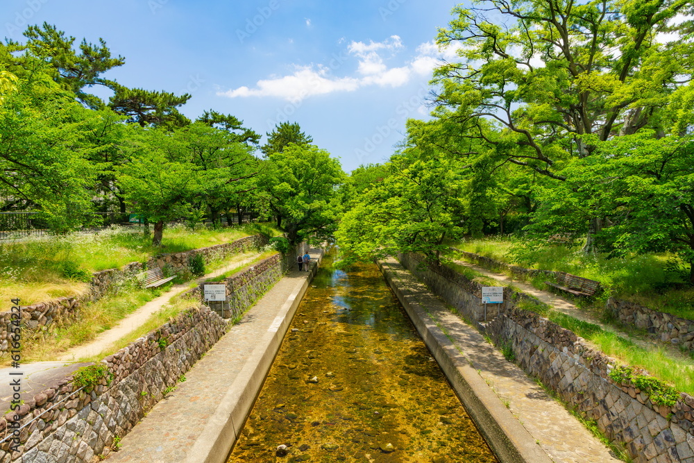 初夏の夙川　兵庫県西宮市にて