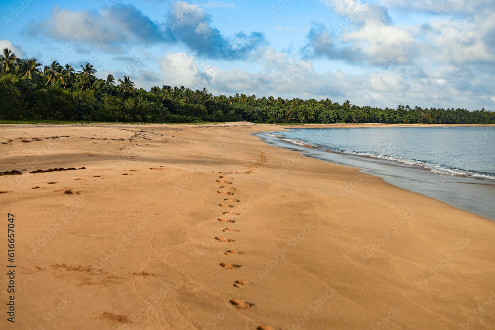 Obraz premium Tropical Paradise