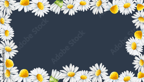 Watercolor white daisy flowers frame isolated. Chamomile. Beauty products and botany set, cosmetology and medicine. For designers, spa decoration, postcards, wrapping pa © Natalia