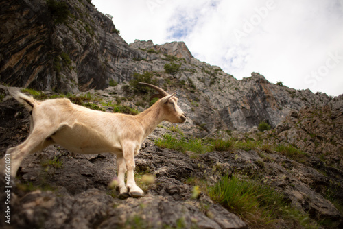 Asturias