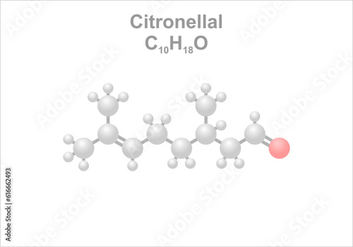 Simplified scheme of the citronellal molecule.