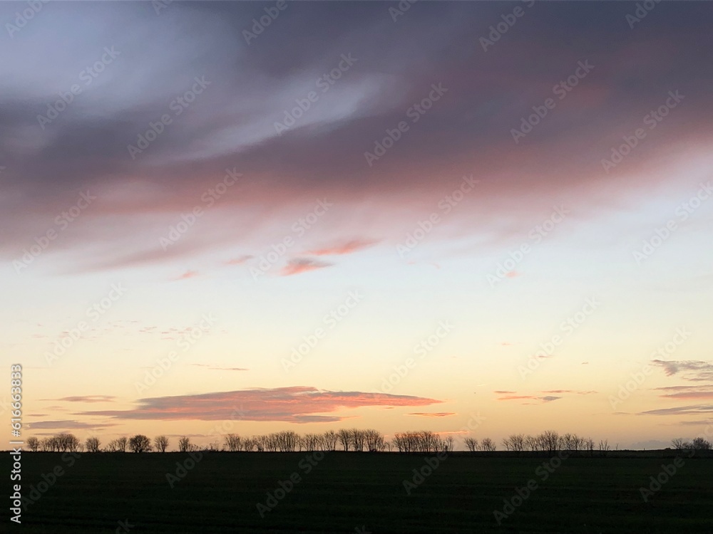 sunset over the field