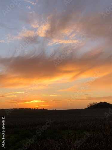 sunset over the field