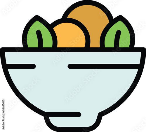 French salad icon outline vector. Food menu. Restaurant cheese color flat